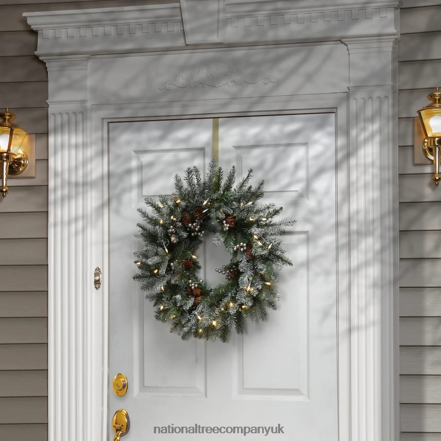 Greenery | National Tree Company Pre-Lit Artificial Christmas Wreath Green Snowy Morgan Spruce White LED Lights Decorated with Pine Cones Christmas Collection 24 Inches F2L4F311